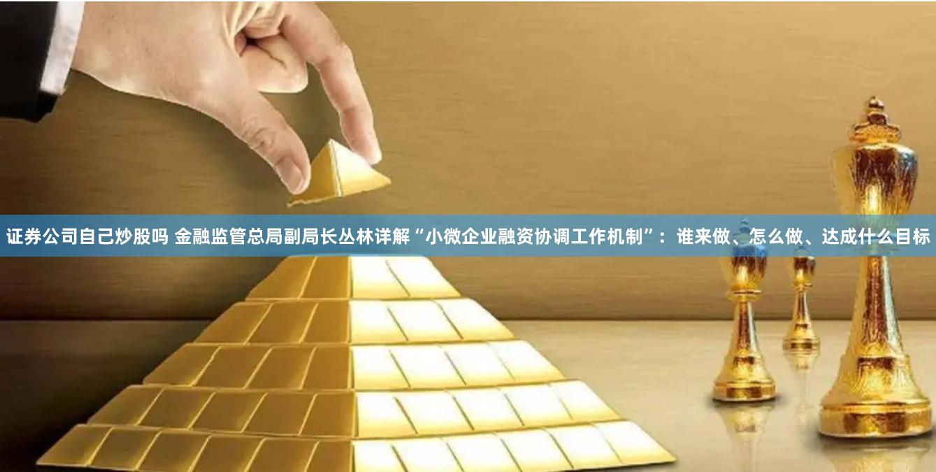 证券公司自己炒股吗 金融监管总局副局长丛林详解“小微企业融资协调工作机制”：谁来做、怎么做、达成什么目标