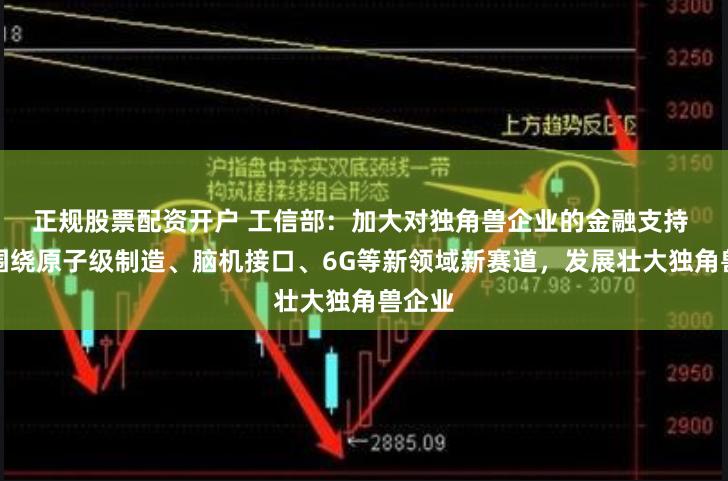 正规股票配资开户 工信部：加大对独角兽企业的金融支持 重点围绕原子级制造、脑机接口、6G等新领域新赛道，发展壮大独角兽企业