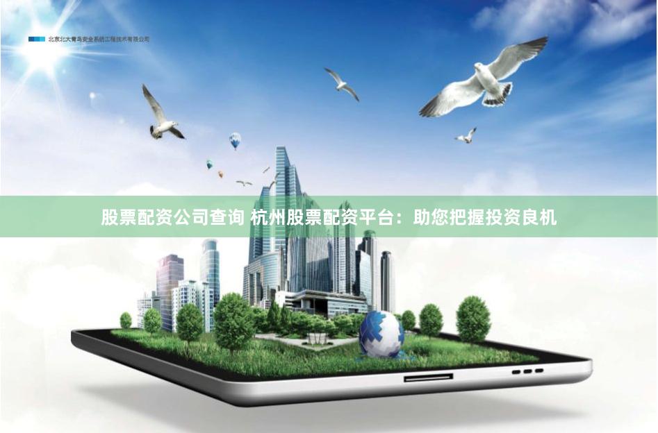 股票配资公司查询 杭州股票配资平台：助您把握投资良机
