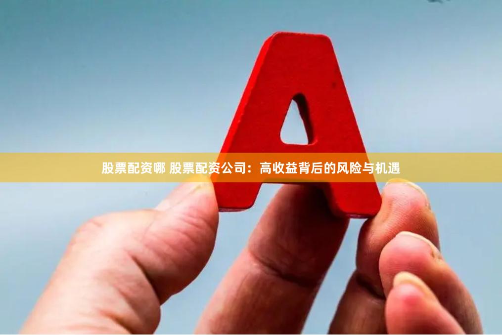 股票配资哪 股票配资公司：高收益背后的风险与机遇