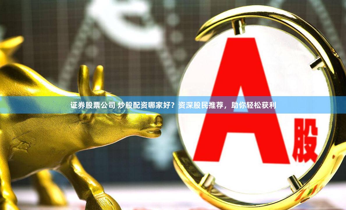 证券股票公司 炒股配资哪家好？资深股民推荐，助你轻松获利
